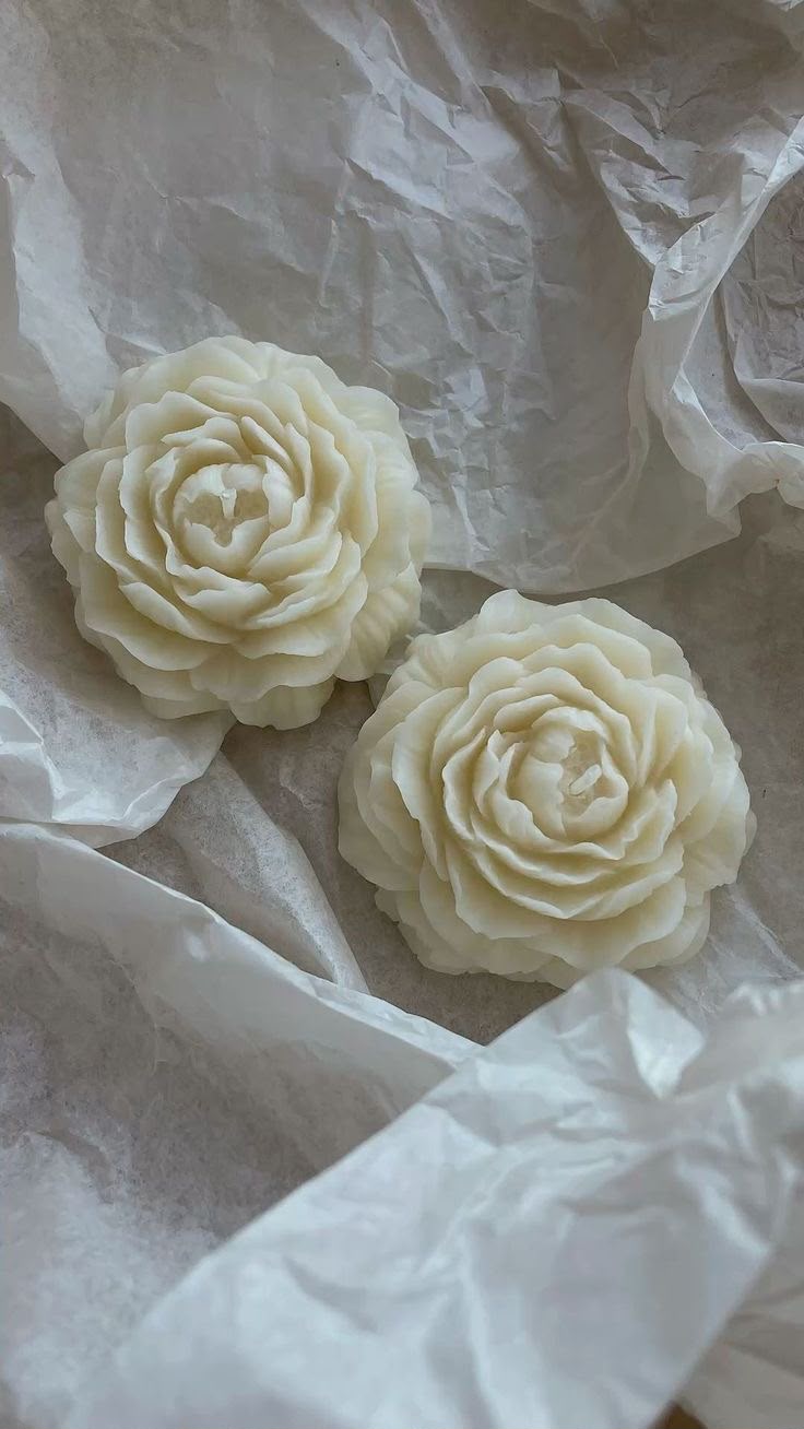 Peonias🤍